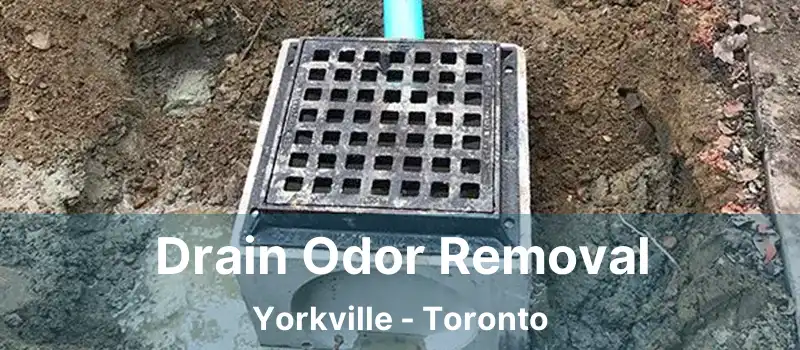 Drain Odor Removal Yorkville - Toronto