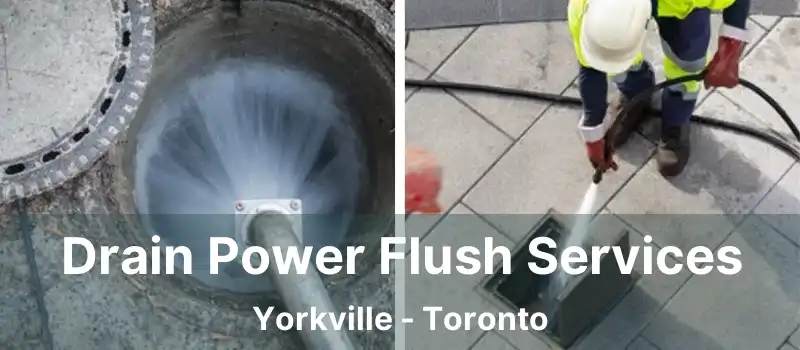  Drain Power Flush Services Yorkville - Toronto