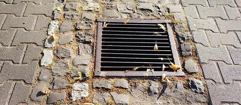Catch Basin Installation and Maintenance in Yorkville, Toronto